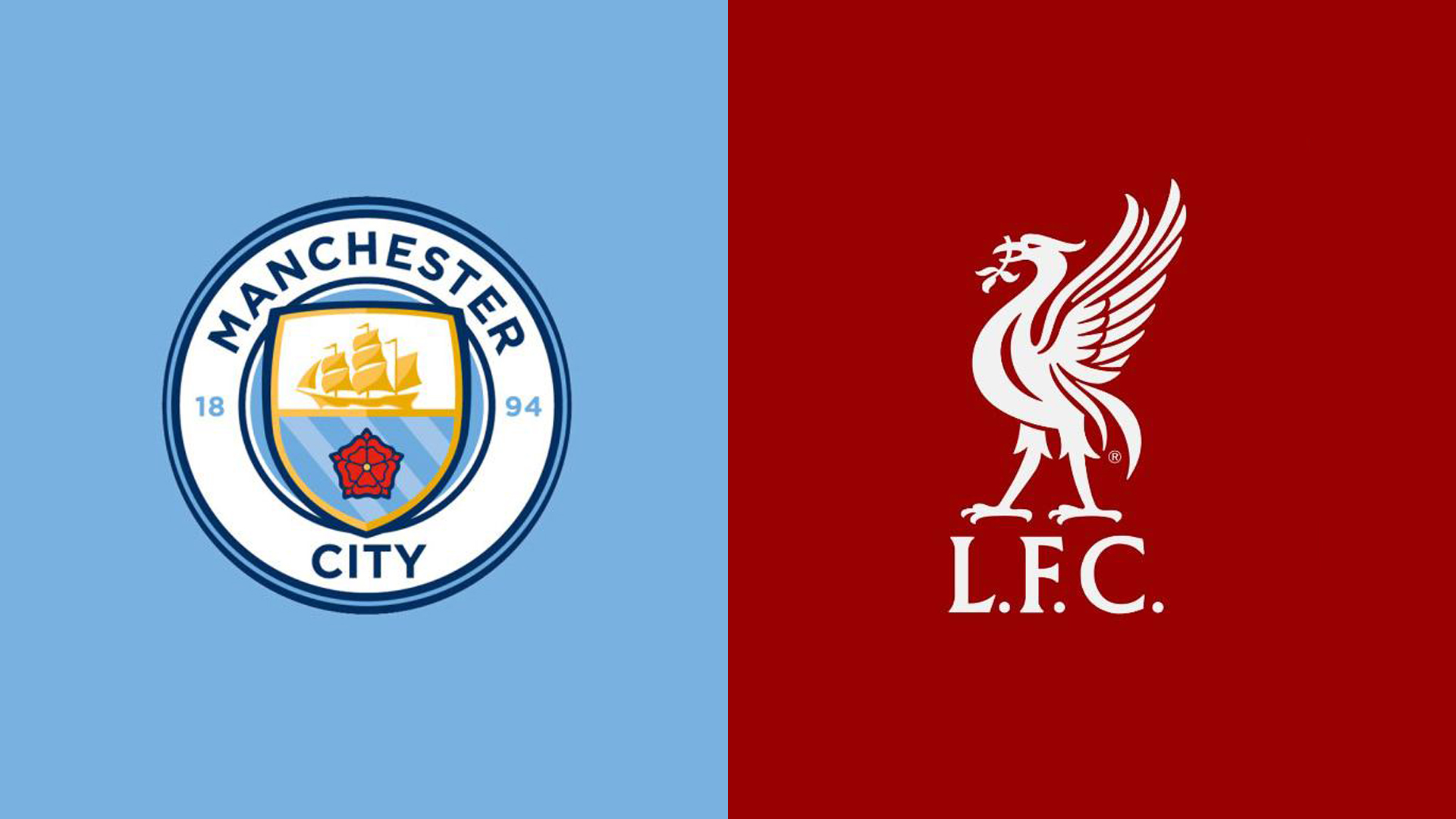 提供了丰富 提供了丰富